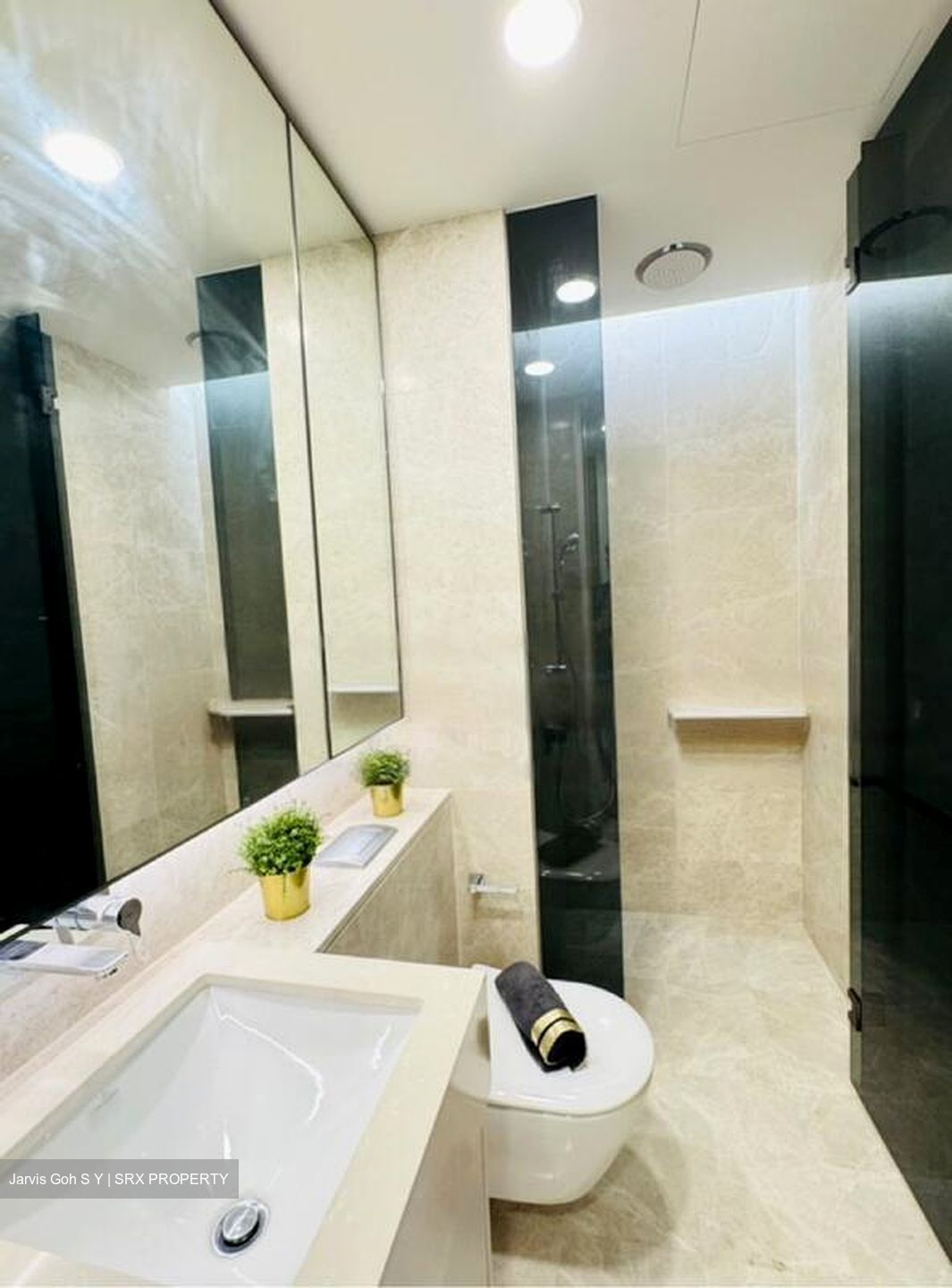 Amber Park (D15), Condominium #532263421
